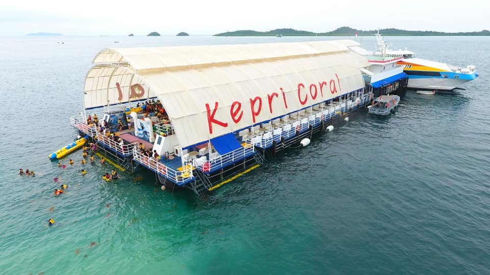 Day Trip Kepri Coral